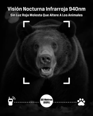 Cámara de Caza 4G