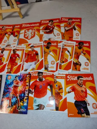 Lote cromos Daka Top Audience Holanda