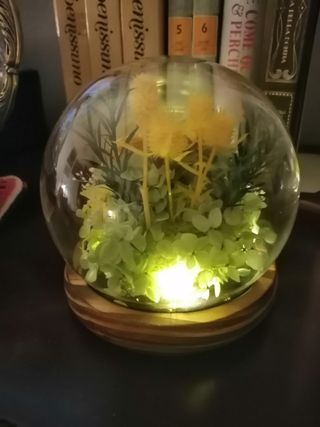 Graziosi soprammobili con orsetti e rosa