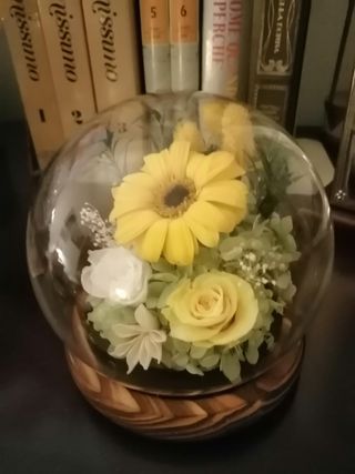 Graziosi soprammobili con orsetti e rosa