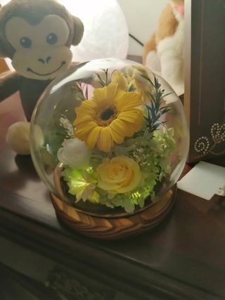 Graziosi soprammobili con orsetti e rosa