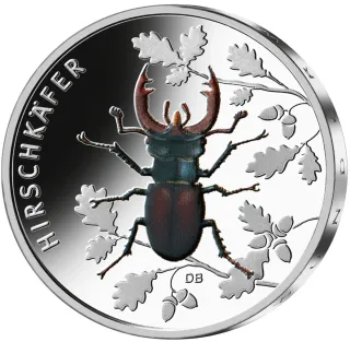Alemania 2024 moneda 5€ Reino Insectos Escarabajo