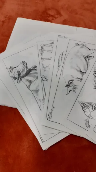 LÁMINAS DE DIBUJO ARTÍSTICO EMILIO FREIXAS