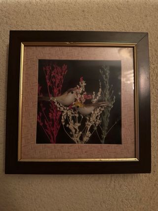 Set de cuadros decorativos