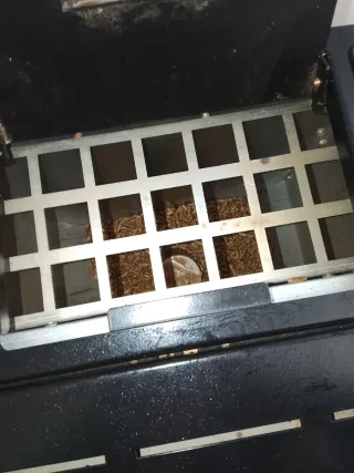 Estufa de pellets roja