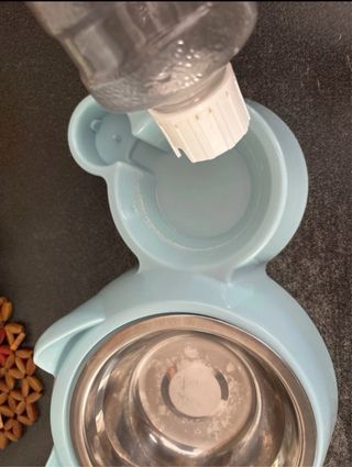 Nuovo box e lettiera Pulizia e nutrizione