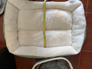 Nuovo box e lettiera Pulizia e nutrizione