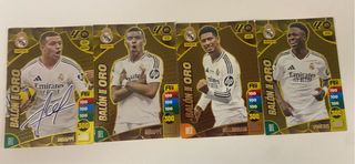 Cromos Adrenalyn XL 24-25