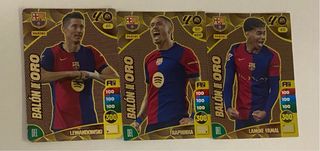 Cromos Adrenalyn XL 24-25