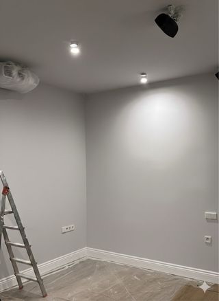 Pintor profesional y montador de muebles