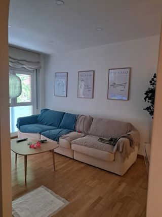 Pintor profesional y montador de muebles