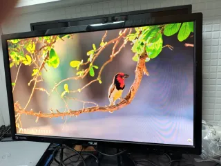 Monitor o pantalla ASUS VG248QE 24 Full HD