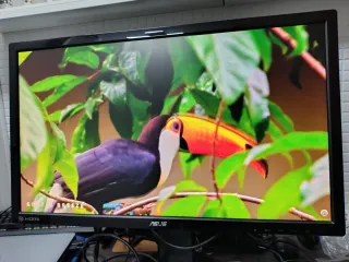 Monitor o pantalla ASUS VG248QE 24 Full HD