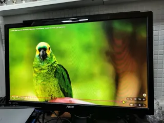 Monitor o pantalla ASUS VG248QE 24 Full HD