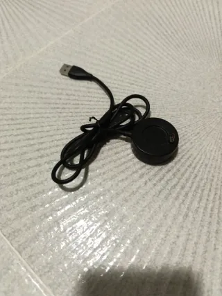 Reloj náutico Garmin Quatix 5 Azul/Plata