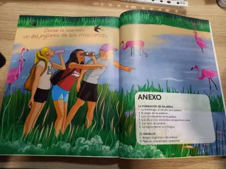 Lengua Castellana y Literatura, 2 Bach, Proyect...