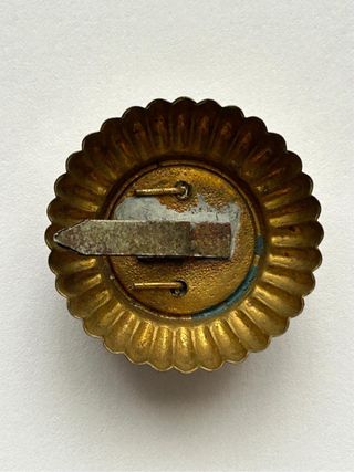 Insignia Voluntario Extranjero Ucrania