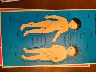 Juego educativo vintage Como es mi cuerpo año 1980