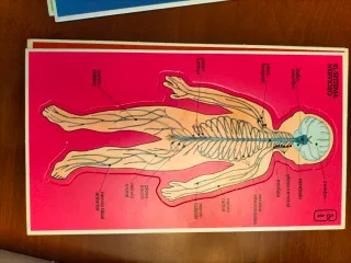 Juego educativo vintage Como es mi cuerpo año 1980