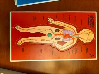 Juego educativo vintage Como es mi cuerpo año 1980