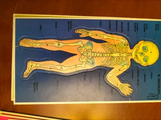 Juego educativo vintage Como es mi cuerpo año 1980