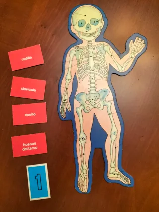 Juego educativo vintage Como es mi cuerpo año 1980