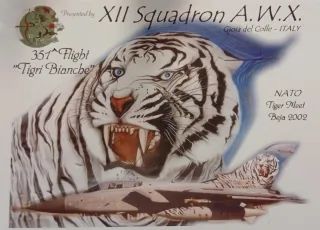 Litografia NATO Tiger Meet Beja 2002