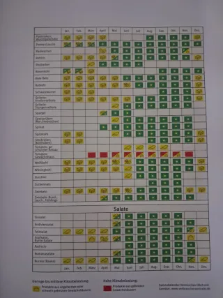 Vegane Ernährung - Schwangerschaft, Stillzeit u...
