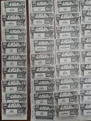 Lote cromos LaLiga Este 25-26 + Álbum