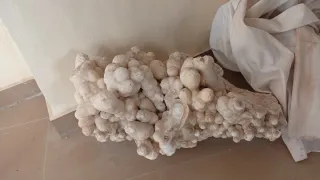 Escritorio de madera con cajones