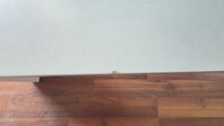 Banco blanco de madera