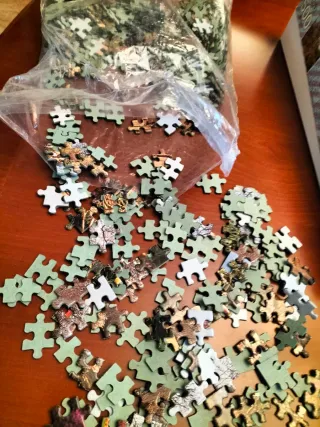 Puzzle Educa 500 Piezas Casa con Jardín