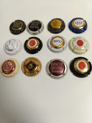 Lote de 12 chapas cava Codorniu