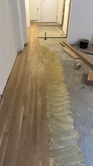 Todos tipos de suelos