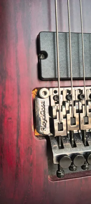 Guitarra Eléctrica Schecter Jeff Loomis FR7
