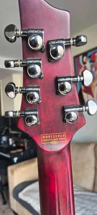 Guitarra Eléctrica Schecter Jeff Loomis FR7