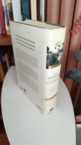 Una promesa de juventud