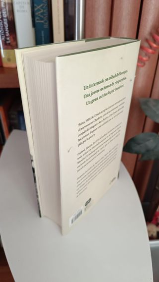 Una promesa de juventud