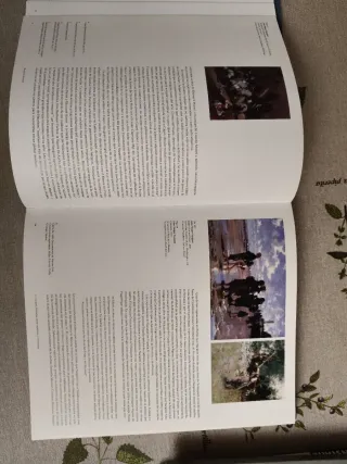 Sargent / Sorolla (Arte y Fotografía) (Spanish ...