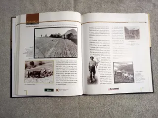 El libro de oro de Bizkaia