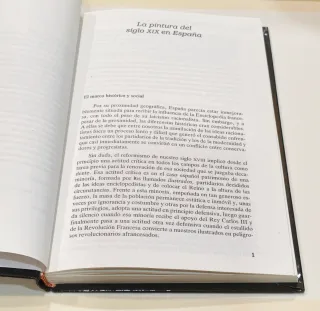 Libro La pintura del siglo XXI en España