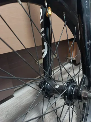 Bicicleta We The People