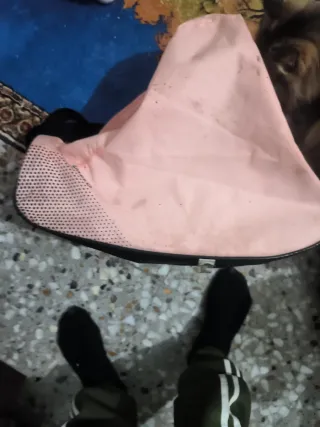 Bolsa de deporte OXELO