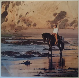 John Denver - Windsong LP Vinile