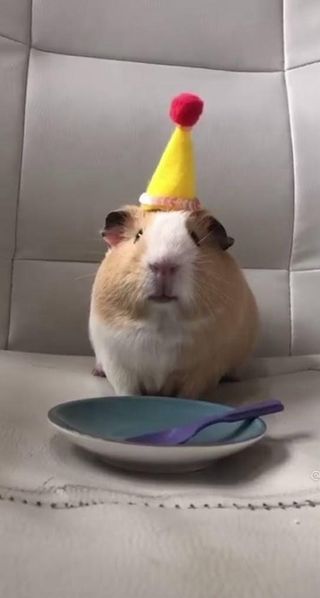 Cuidado de niños a domicilio – Donosti