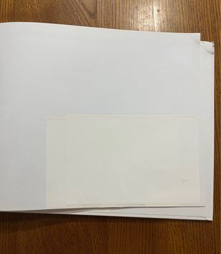 Libro “Squali E Altre Creature Degli Abissi”