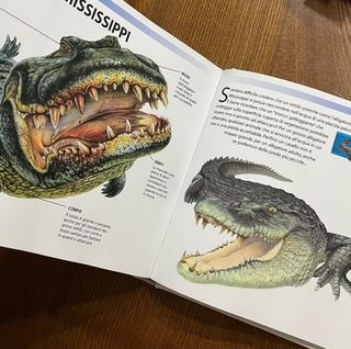 Libro “Squali E Altre Creature Degli Abissi”