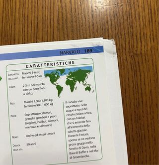 Libro “Squali E Altre Creature Degli Abissi”