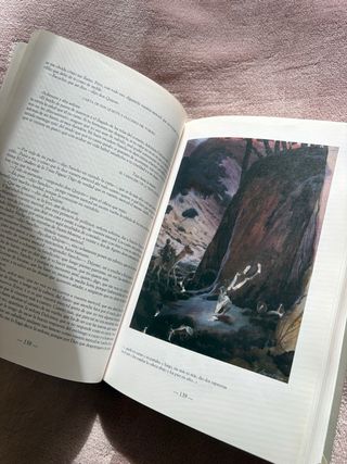 Libro Don Quijote de la Mancha