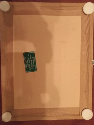 9 Farfalle da Collezione Rarissime